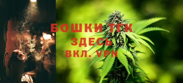 2c-b Новозыбков