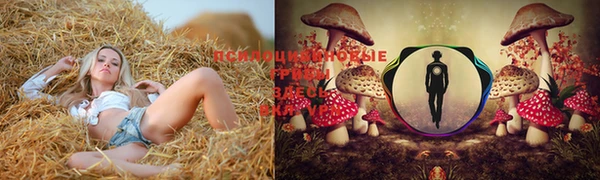 кристаллы Новокубанск