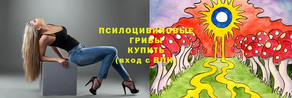 2c-b Новозыбков