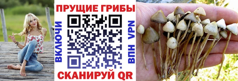 Псилоцибиновые грибы MAGIC MUSHROOMS  купить наркотик  Тарко-Сале 